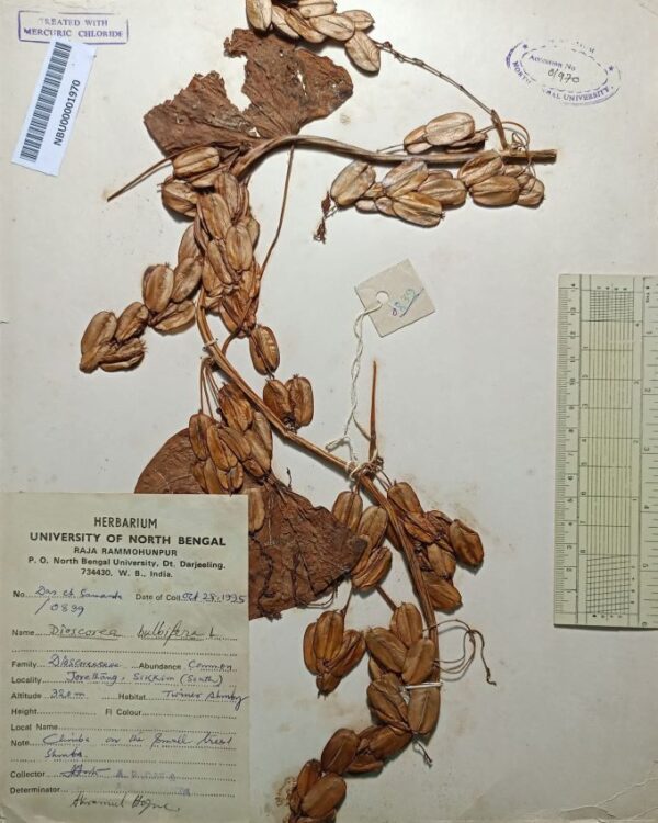 DocScanner 20 Apr 2026 1-04 pm(1)